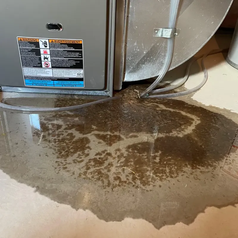 Appliance Leak Cleanup in Posen, IL